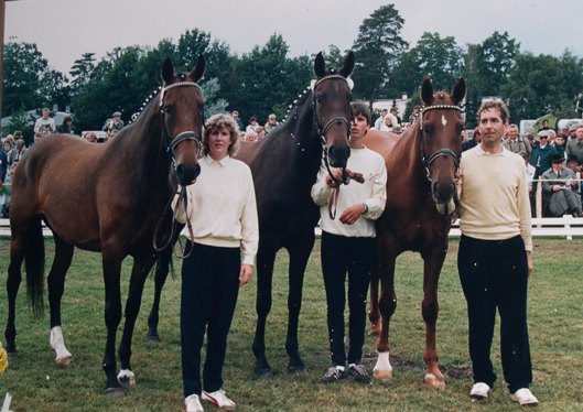 Winniwuk, Doublette, Defilee at mare show.