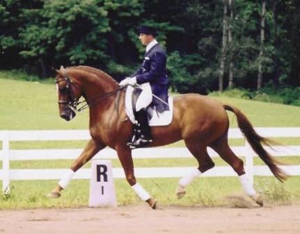 Werbellin (by Weltmeyer)