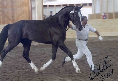 Donar Weiss (by De Niro)