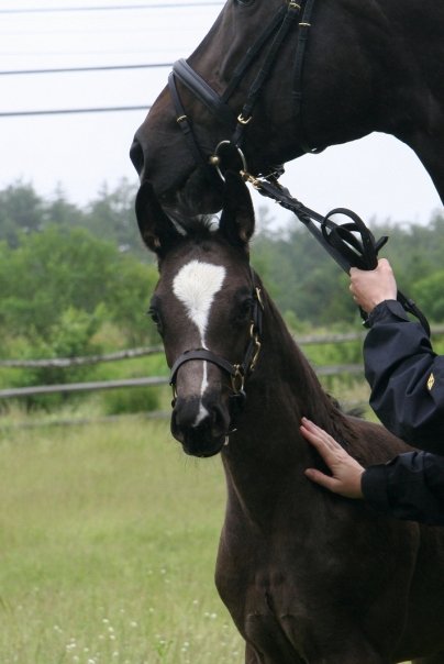Darshan HM (Dacaprio - SPS Pakesa)