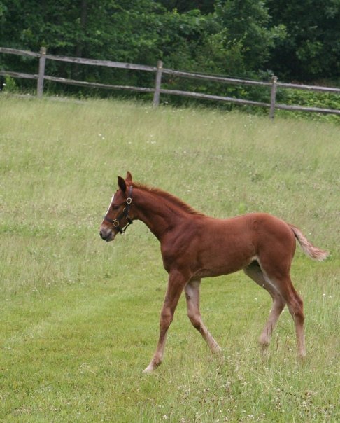 Ludwig HM (Londonderry - SPS Destiny)