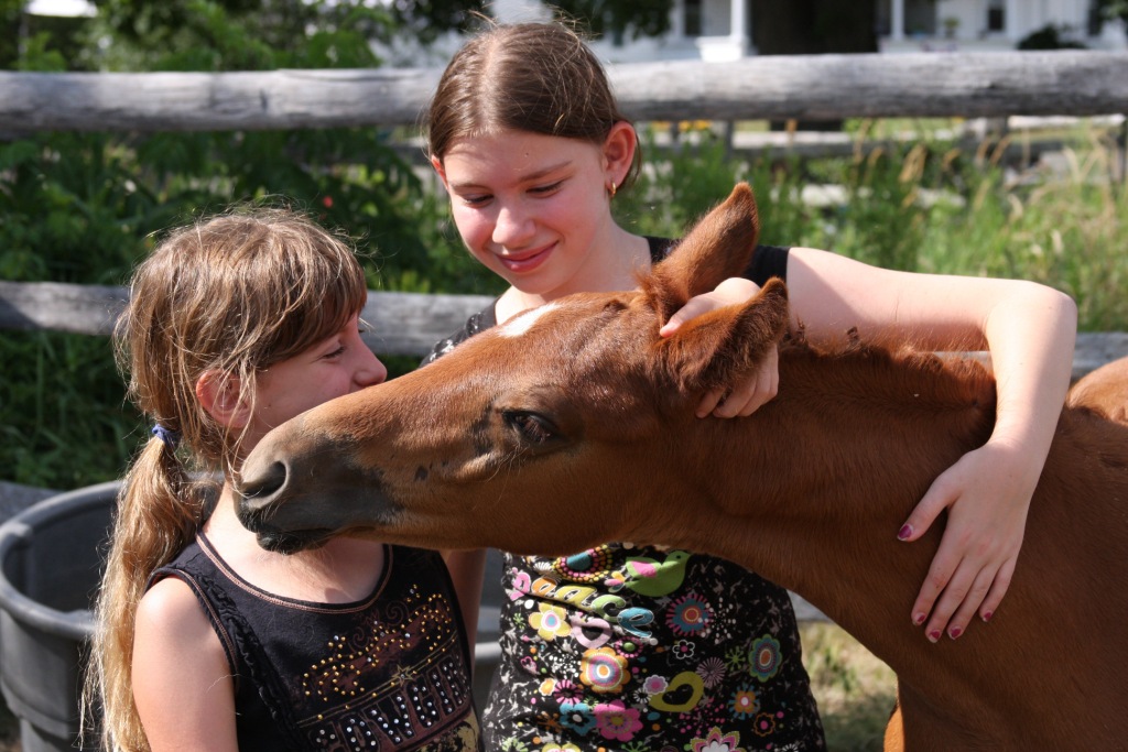 Lorelei HM (Londonderry - SPS Destiny)