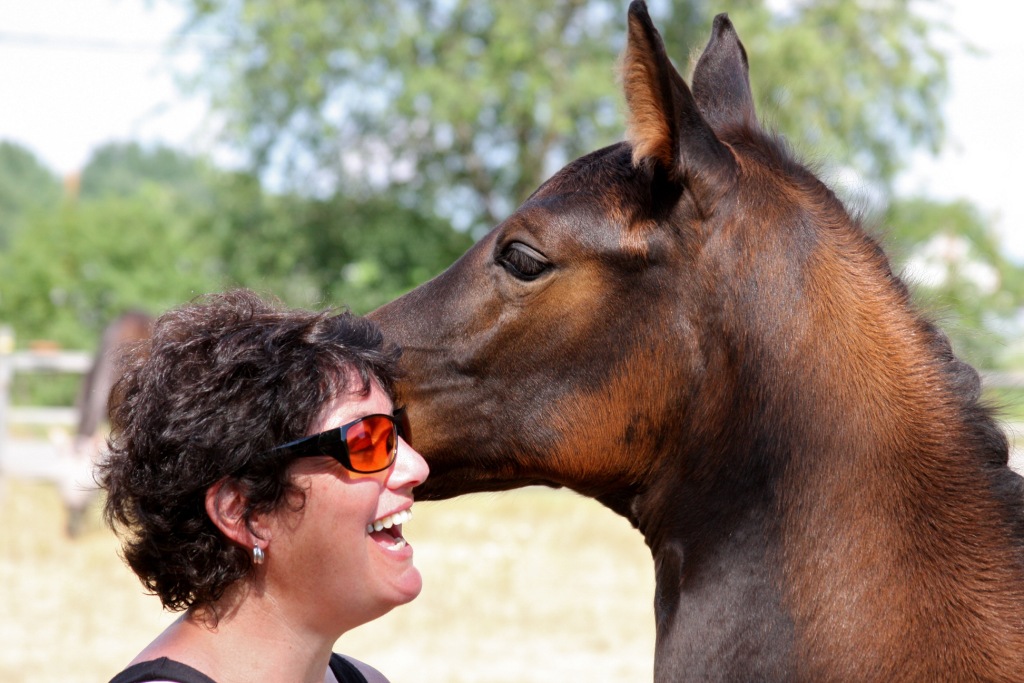 Seraphina telling secrets