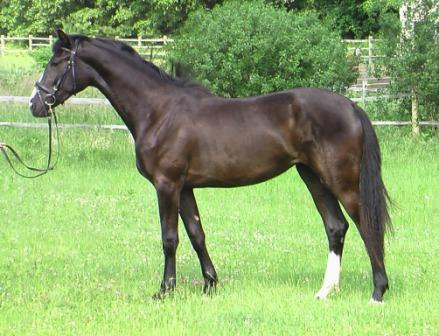 Reminisce HM - at 2 years old