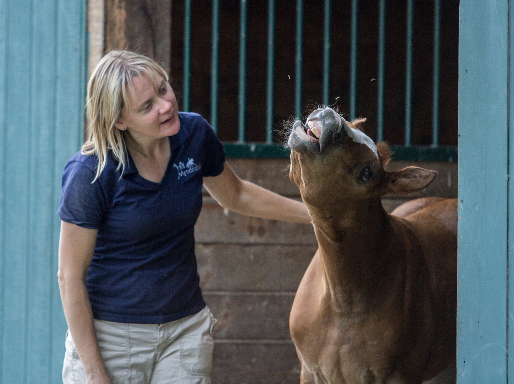 Reflection HM (Rascalino - EM Day Dream)